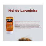 Lamberhoney Mel em Bisnaga 295g