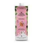 Bebida Vegetal 1L A Tal da Castanha