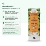 Bebida Vegetal 1L A Tal da Castanha