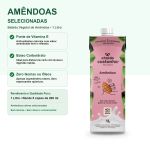 Bebida Vegetal 1L A Tal da Castanha