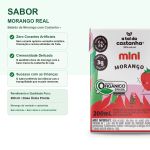 Bebida Vegetal Mini 200ml A Tal da Castanha