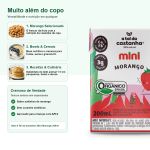 Bebida Vegetal Mini 200ml A Tal da Castanha