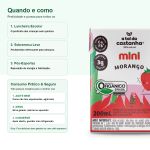 Bebida Vegetal Mini 200ml A Tal da Castanha