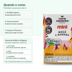 Bebida Vegetal Mini 200ml A Tal da Castanha
