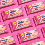Mini Wafer Zero Acucar Snack 22g Lowcucar