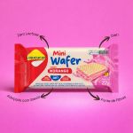 Mini Wafer Zero Acucar Snack 22g Lowcucar