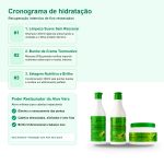 Linha Capilar Babosa Kinature