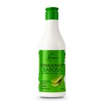 Linha Capilar Babosa Kinature