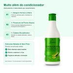 Linha Capilar Babosa Kinature
