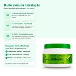 Linha Capilar Babosa Kinature