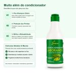 Linha Capilar Jaborandi Kinature