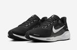 TENIS NIKE AIR ZOOM PEGASUS 41
