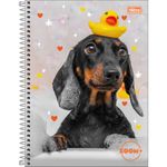 Caderno 12 x 240fls C. D. Zoom+ Feminino - Tilibra