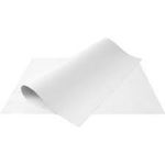 Cartolina 120g/m²  50x66cm  - Premiatta