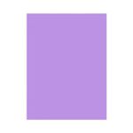 Papel Carmem Liso 48cm X 66cm Color Set - Premiata