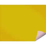 Papel Espelho Monolúcido 50cmX60cm Lustre - Premiatta
