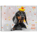 Caderno Desenho 96fls Zoom+ Feminino - Tilibra