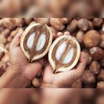 Óleo de Coco de Babaçu 100% Vegetal 100g Puro para Cosméticos e Saboaria