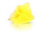 Esponja de Banho Nylon 8cm Sintética Esfoliante Macia