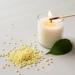 Cera de Candelila 100g Vegetal Vegana para Batons e Cremes