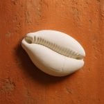 Búzio Gigante em Gesso 20cm Peça Decorativa para Sala, Parede E Espaços Espirituais