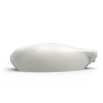 Búzio Gigante em Gesso 20cm Peça Decorativa para Sala, Parede E Espaços Espirituais