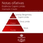 Essência Concentrada Capim Limão - 100Gr