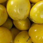 Essência Concentrada Maracujá Azedo - 10Gr