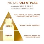 Essência Concentrada Apple Spice (Antik) - 10Gr