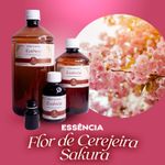 Essência Concentrada Flor de Cerejeira Sakura 100 g