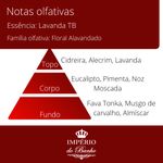 Essência Concentrada Lavanda TB 10 g