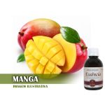 Essência Concentrada Manga - 10Gr