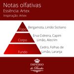 Essência Concentrada Artex 10 g