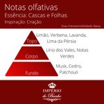 Essência Concentrada Cascas e Folhas (Avatim) - 10Gr