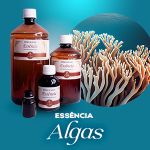 Essência Concentrada Algas - 10Gr