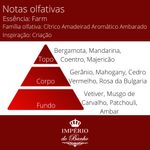 Essência Concentrada Farme (Loja Farm) - 10Gr