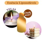 Essência Concentrada Lima e Flor de Laranjeira (Loccitane) - Oleosa (Base Dietilfitalato) Para Velas - 100Gr