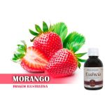 Essência Concentrada Morango - 100Gr