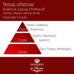 Essência Concentrada Cascas e Folhas IB - 100Gr