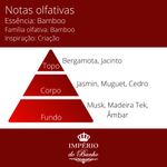 Essência Cold Processo a Frio Bamboo (Base Miristato de Isopropila) 10g