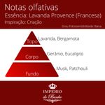 Essência Concentrada Lavanda Provence Loc 100 g