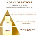 Essência Concentrada Alecrim OAK - 100Gr