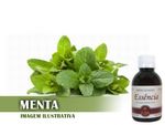 Essência Concentrada Menta - 10Gr