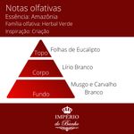 Essência Concentrada Amazônia - 100Gr