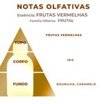 Essência Concentrada Frutas Vermelhas - 10Gr