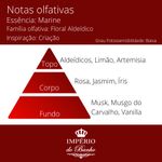 Essência Hidrossolúvel Marine POP - 100Gr