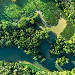 Essência Concentrada Amazônia - 100Gr