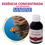 Essência Hidrossolúvel Marine POP - 100Gr