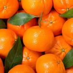 Essência Concentrada Bergamota - Oleosa (Base Dietilfitalato) Para Velas - 100Gr