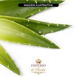 Extrato Glicólico para Sabonete de Aloe Vera 100g